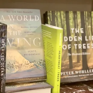 a row of books on a shelf