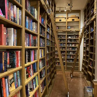 bookshelves and ladders