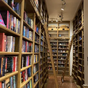 bookshelves and ladders