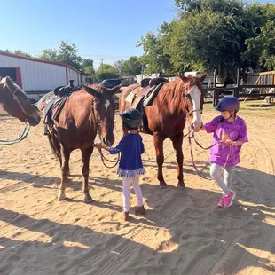 Getting to know their horses