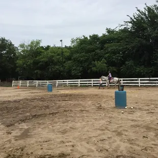 The arena