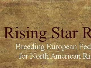 Rising Star Ranch