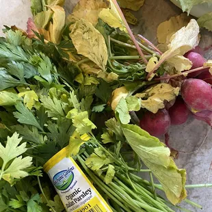 a bunch of fresh vegetables on a table