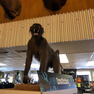 Was this guy real at one point?