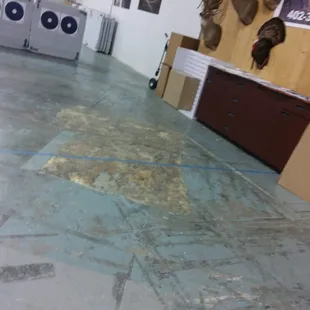 That's a lot of dead heads!