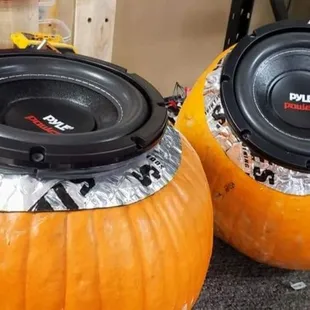 Bass Pumpkins