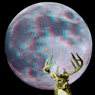 a deer's head in front of a full moon