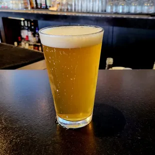 Pliny the Elder. $7.00.