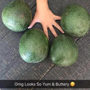Jumbo size Avocado ( 1 1/2 pound) 4 for $ 20  So yummy &amp; buttery 8.2017