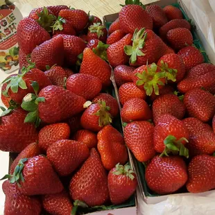 Sweet Strawberries this week 5.18.16 Joe is awesome, normally $ 8 for 3 pack. Gave $ 13 for 6 pack