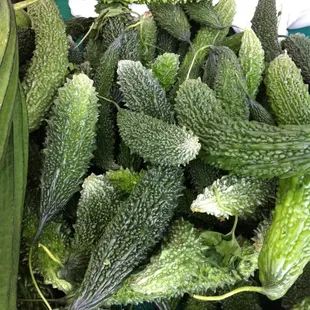 Bitter Melon