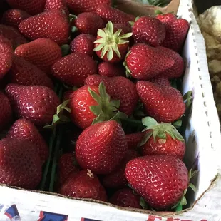 Organic strawberries 3.27.19