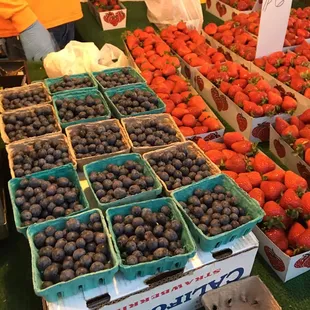 Can't get over how sweet these tasted!...