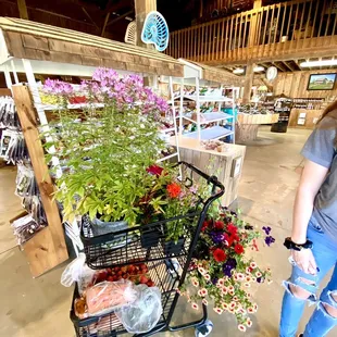 a woman pushing a shopping cart full of flowers