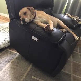 Peaches our 2 years !