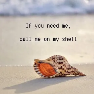 Call me on my shell !'