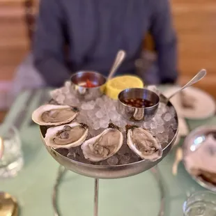 Oysters