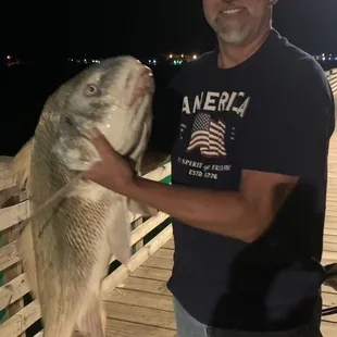 The bite, the fight, sometimes not til after midnight.