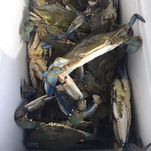 A great day for a blue crab special!!!
