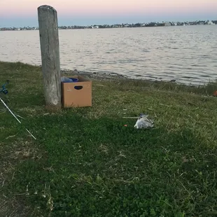 Got my fishing license plus a rod and reel today. Jesus told me to fish at the ski basin.