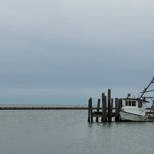 The Marina with boats referenced.