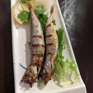 food, sushi and sashimi