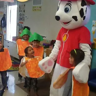 Classroom fun with Marshall!