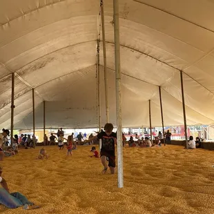 Corn