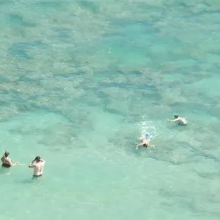 Hanauma Bay Snorkeling