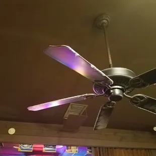 Place don't turn on the fan don't like dust on my food