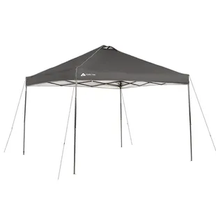 10 x 10 Canopy