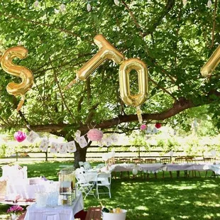 Thanks for helping with my garden party ! You know how to "fun it up" and give everyone a place to sit, too.