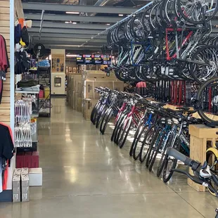 A plethora of choices...