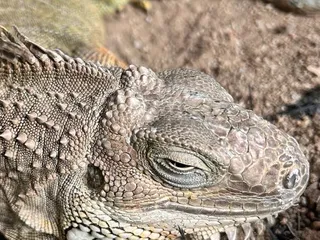 Charlotte Hot Springs & Botanical Gardens