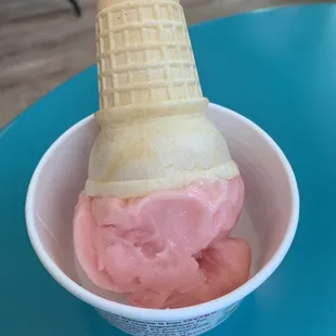 Watermelon kid cone