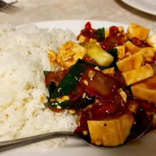Beef and Tomato Over Rice Plate