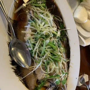 Steamed Flounder