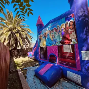 Disney princess 40ft
