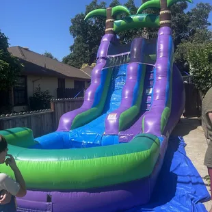 Purple Crush Slide