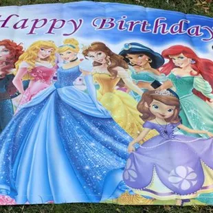 Disney princesses art panel