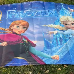 Frozen art panel