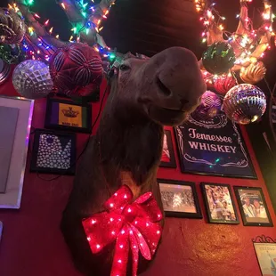 Festive Moose