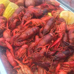Mudbugs Madness