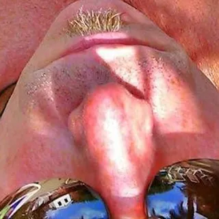 D T.