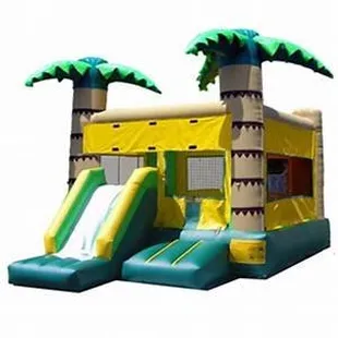 Funtastic Jump Jump 5 in 1 combo bounce house rental and slide combo