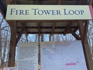 Fire Tower Loop