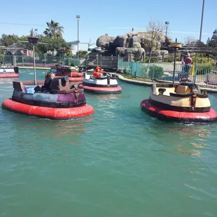 The bumper boats