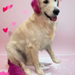 My girl after her hair cut and a little pop of color thanks to Shanna!