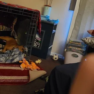 After 4 hours of playing at my new favorite place.