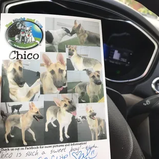 This boy loves to pose for sure!